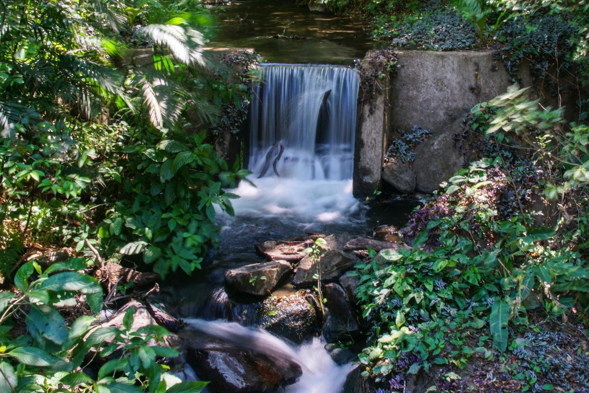 Buena Vista Del Rincon Eco Adventure Park Hotel & Spa Либерия Экстерьер фото